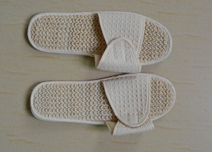 韩城Indoor slipper