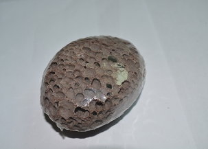 Brown oval natural pumice