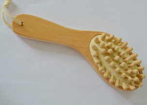 宁波Massage brush